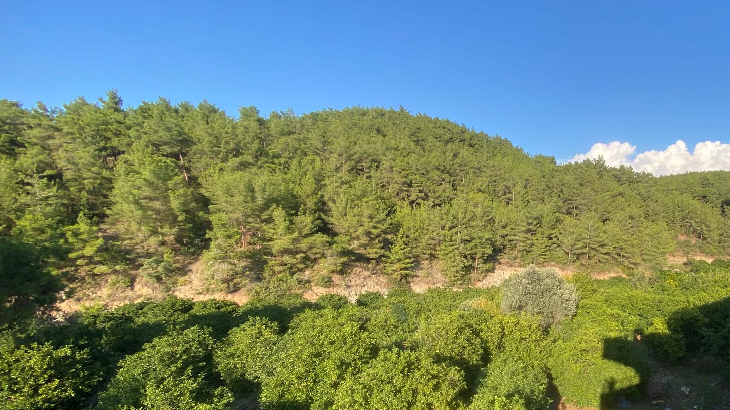 Zümrüt Pansiyon Balkon - Balkondan Manzara